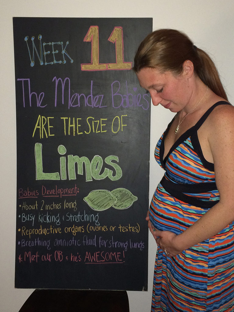 11 Weeks - The Maternity Gallery