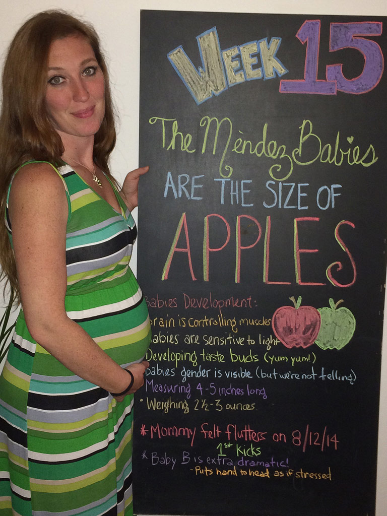 twin pregnancy at 15 weeks