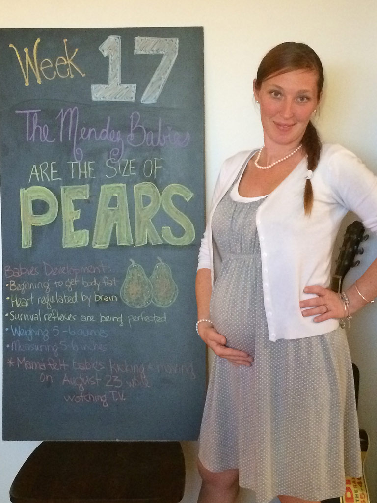 twin pregnancy at 17 weeks